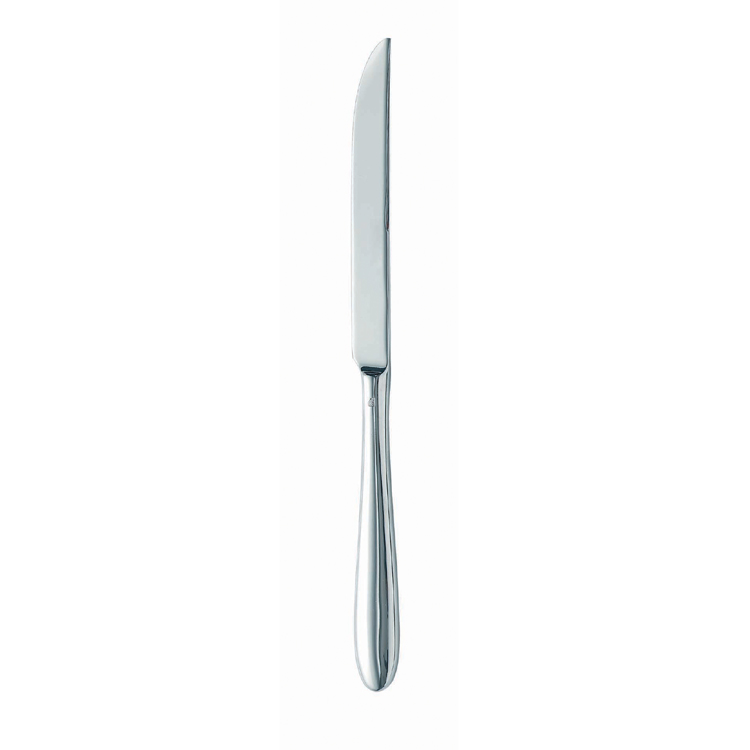 Arcoroc Lazzo Steak Knife 24.2cm (Solid Handle) / Lazzo Cutlery